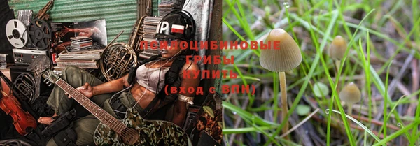 Альфа ПВП Баксан