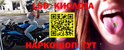 шишки Северобайкальск